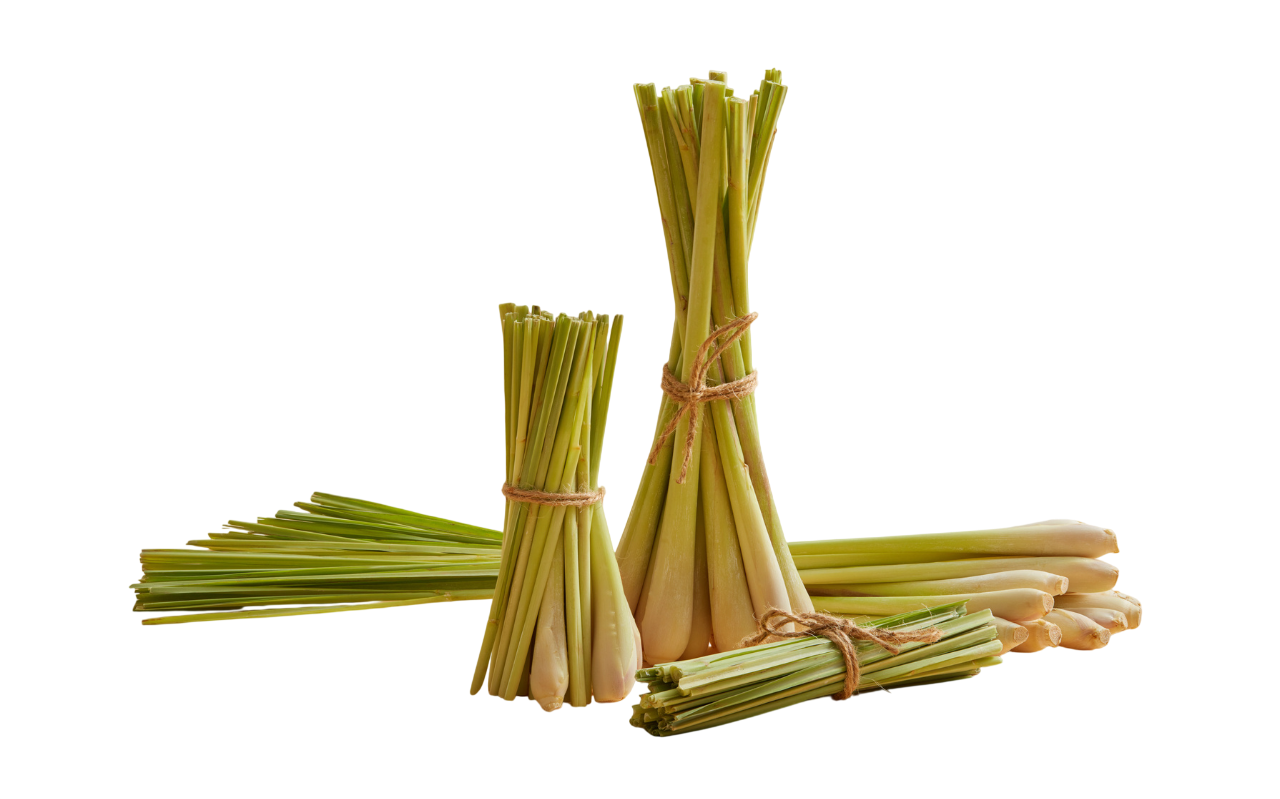 Olio essenziale Citronella
