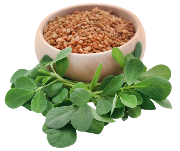 Soluzione Idroalcolica Fieno greco 50°