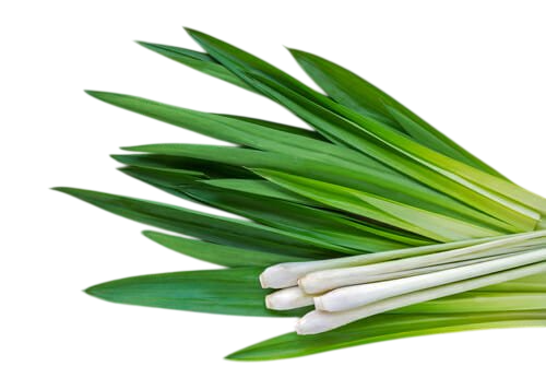 Olio essenziale Lemongrass