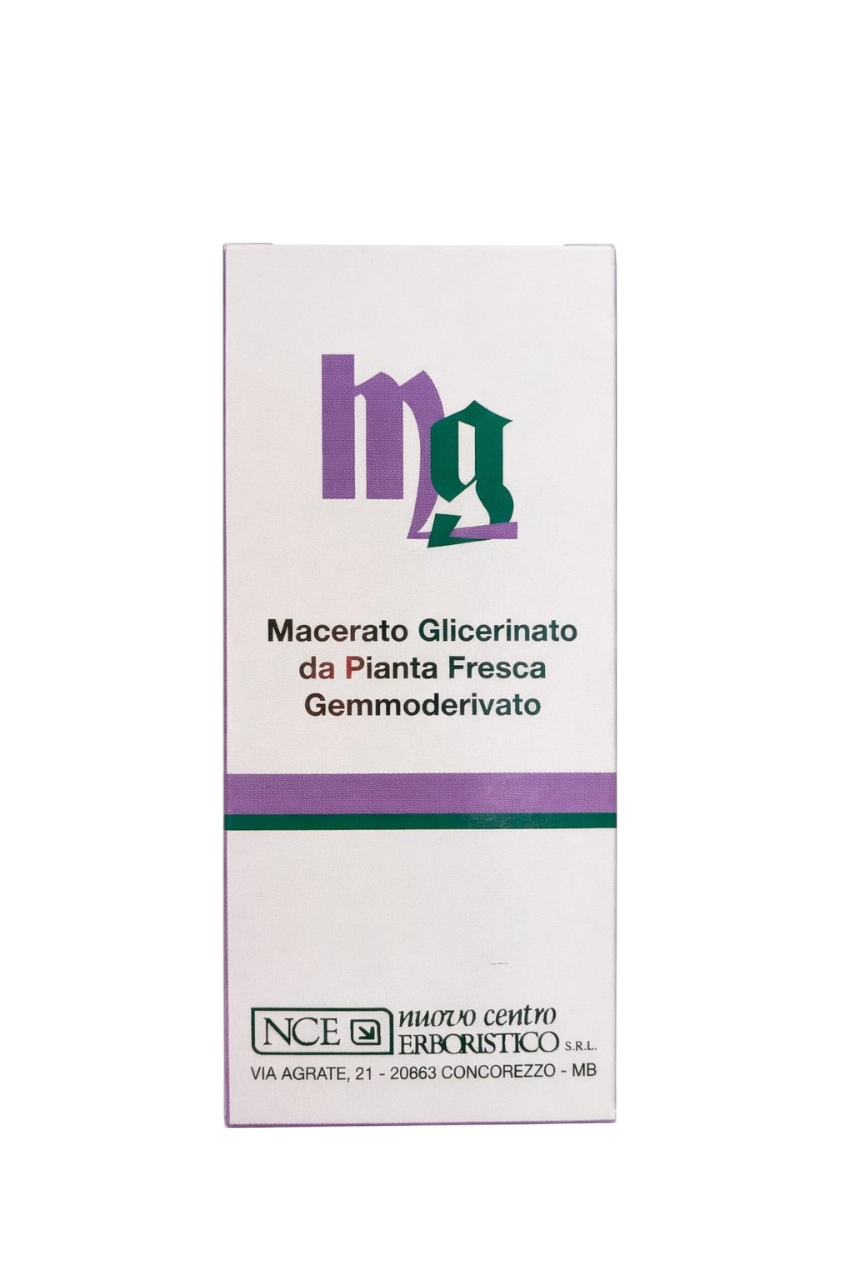 Macerato glicerinato Betulla linfa 30°