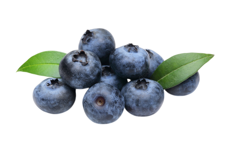 Olio essenziale Mirto