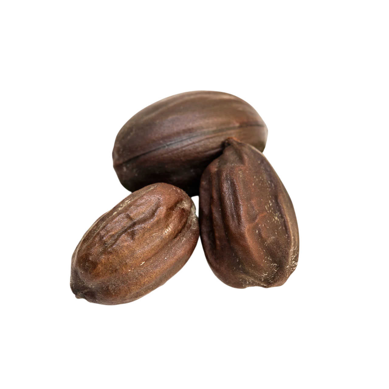 Olio di Jojoba