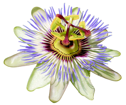 Soluzione Idroalcolica Passiflora 50°