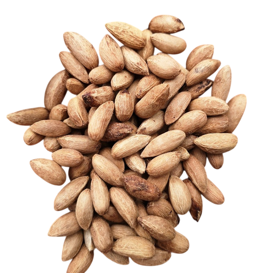 Olio di Neem