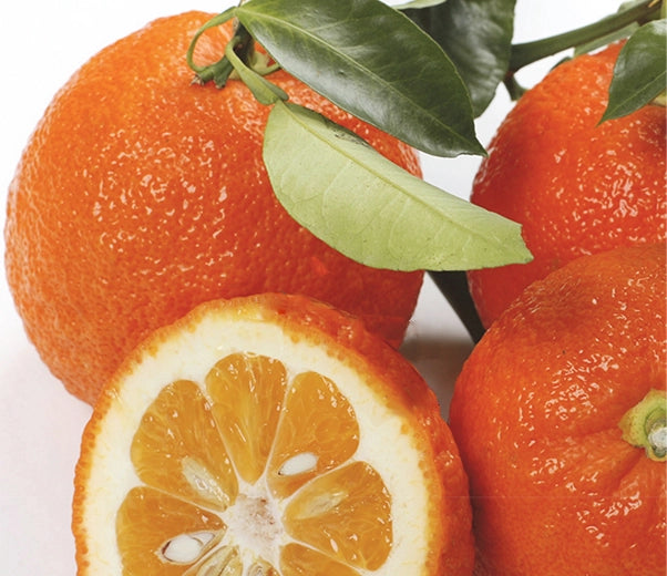 Olio essenziale Arancio Amaro