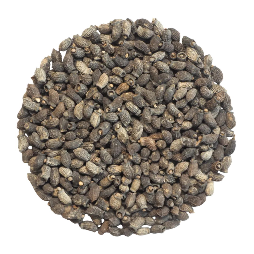 Olio di Borragine
