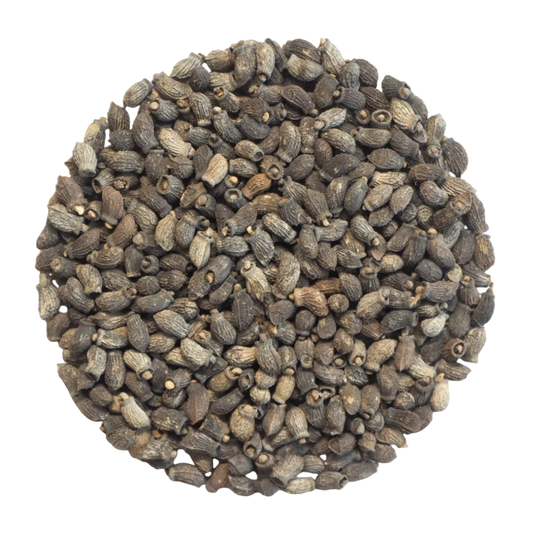 Olio di Borragine