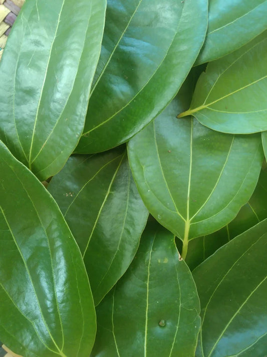 Olio essenziale Cannella foglie