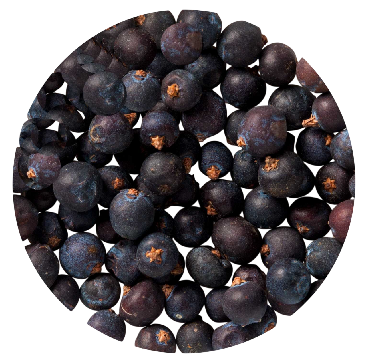 Olio essenziale Ginepro