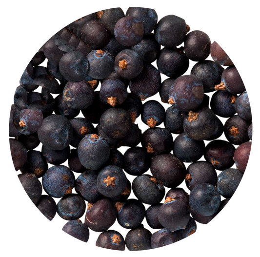 Olio essenziale Ginepro