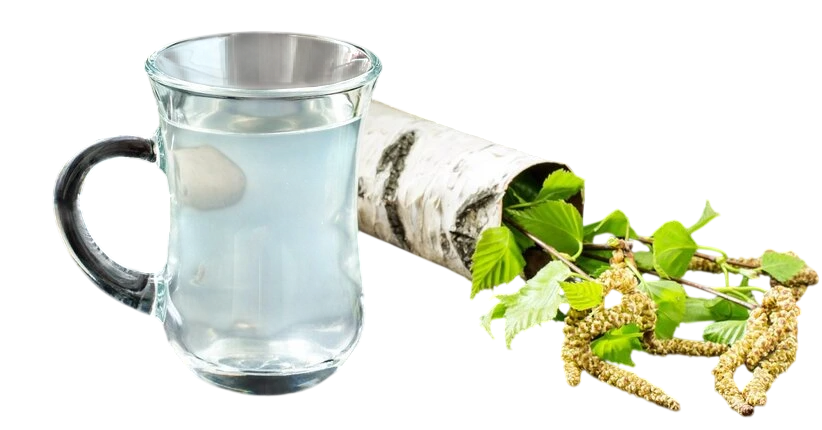 Macerato glicerinato Betulla linfa 30°