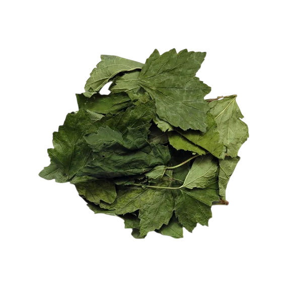 Soluzione Idroalcolica Ribes nero 50°
