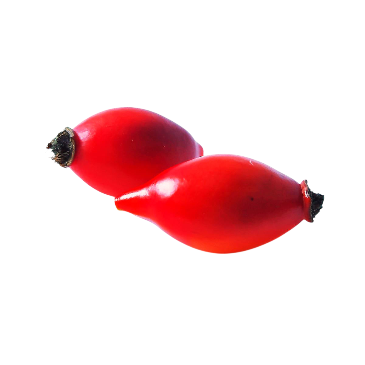 Soluzione Idroalcolica Rosa canina 50°